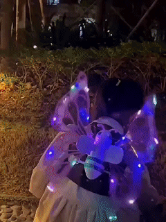 ALAS DE MARIPOSA CON LUCES LED