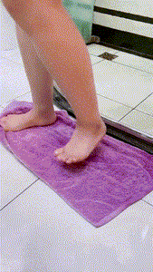 (2x1) ALFOMBRA SUPER ABSORBENTE